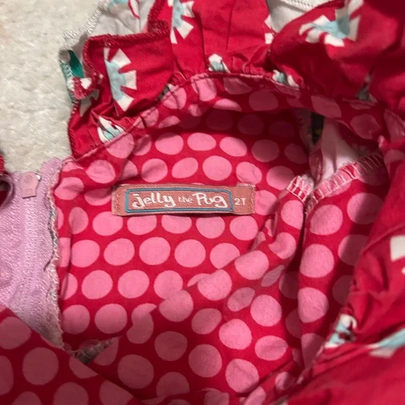Jelly and Pug pink ornament dress girls size 2T - Picture 3 of 5